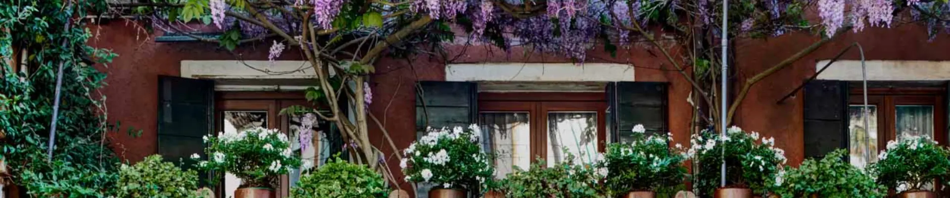 Cómo llegar a Locanda Fiorita fácilmente en Venecia